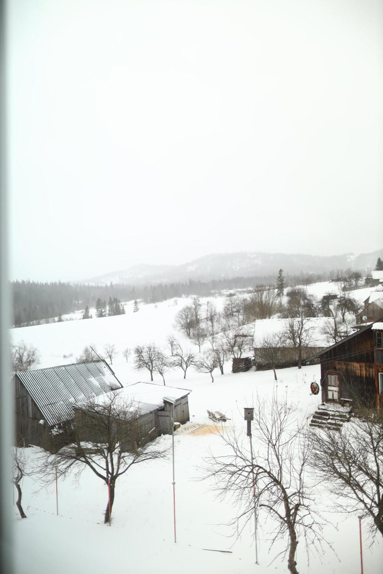 Котедж У Карпатах Tukhol'ka Exterior foto